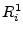 $R^{1}_i$