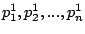 $ p^1_1,p^1_2,...,p^1_n$