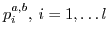 $p^{a,b}_i,\:i=1,\dots l$