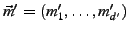 $\vec m' = (m'_1, \ldots , m'_{d'})$