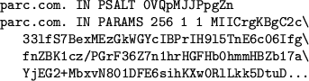 \begin{figure}\begin{verbatim}parc.com. IN PSALT 0VQpMJJPpgZn
parc.com. IN PAR...
...Hb0hmmHBZb17a\
YjEG2+MbxvN801DFE6sihKXw0RlLkk5DtuD...\end{verbatim}\end{figure}