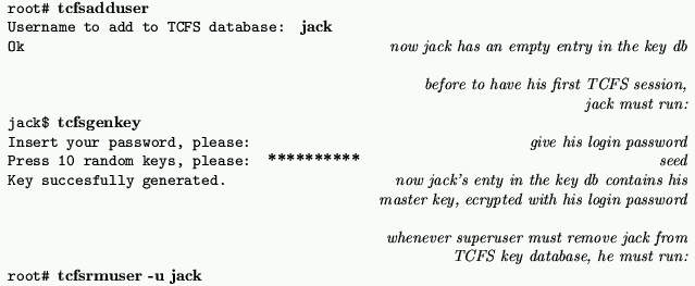 \begin{figure*}
\centerline {
\begin{tabular}{\vert lr\vert} \hline
{\tt root\ch...
...char93  {\bf tcfsrmuser -u jack}}
& \quad \\ \hline
\end{tabular}}\end{figure*}