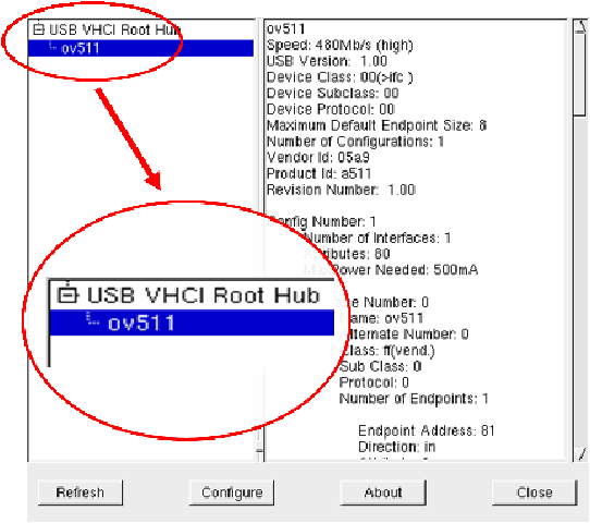 Figure 17: usbview Output for a USB/IP Device