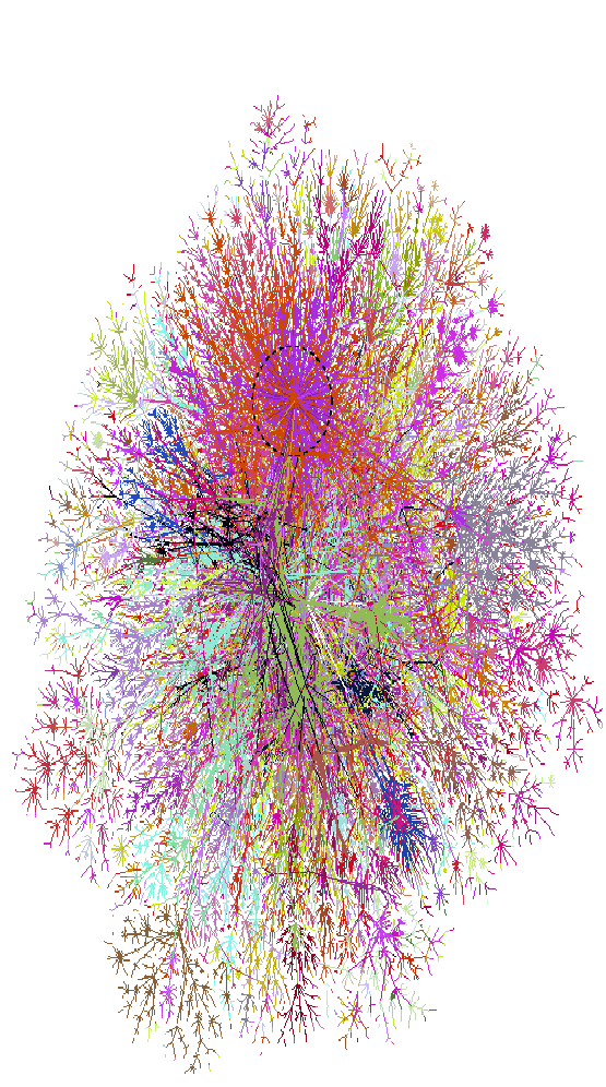 \begin{figure*}\begin{center}
\epsfysize =0.92\textheight
\epsfxsize =1.0\textwidth
\leavevmode \epsfbox{wired2.ps}\end{center}\end{figure*}