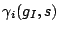 $ \gamma_i(g_I,s)$