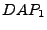 $DAP_1$