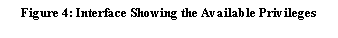 Text Box: Figure 4: Interface Showing the Available Privileges